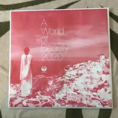 JAL 世界の美女カレンダー2022