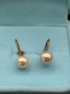 Item thumbnail for item f4341c74-fc2a-43f9-95a8-f5436e84b8f8