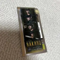 阪神タイガース フォトグレイ 中野