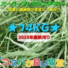 Item thumbnail for item 373e8c15-4b09-463f-9f07-6a919cff956e