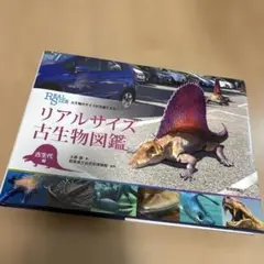 リアルサイズ古生物図鑑 古生物のサイズが実感できる! 古生代編