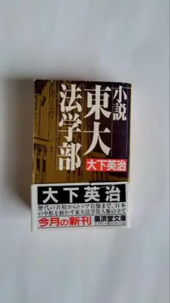 小説 東大法学部 大下英治