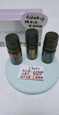 【年末500円off】doTERRA イントロキット 新品