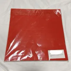 折り紙 大きいサイズ 大量 おりがみ 大判 10色100枚入 25cm 正方形