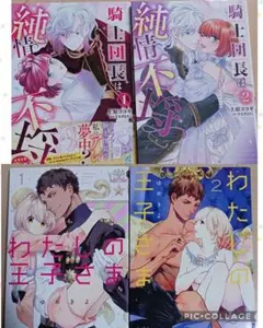 騎士団長は純情不埒　他2冊　漫画　TL