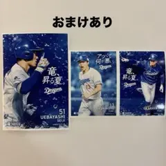 竜ブロマイド　W林セット