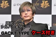 RAYBANサングラス　レイバンサングラス　GACKT 風　調光レンズ　調光