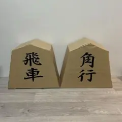 将棋　被り物　天竺鼠 値下げ！】天竺鼠 将棋かぶり物（飛車・角）の通販 by nina's