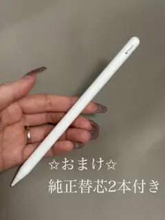 【★おまけ★替芯2本付き】Apple Pencil（第2世代）