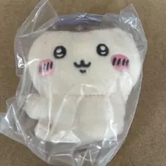 Item thumbnail for item f31efa17-c1d3-48f4-869e-041669724d17