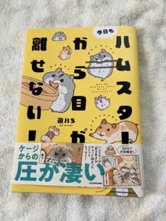 ハムスターから目が離せない
