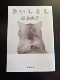 白いしるし 西加奈子