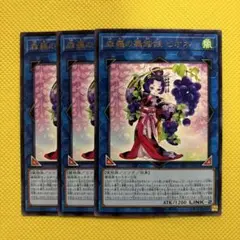 遊戯王 森羅の舞踏娘 ピオネ 3枚セット 蕾禍 らいか おすすめ
