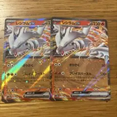 レンシラムEX 230 HP 2枚セット