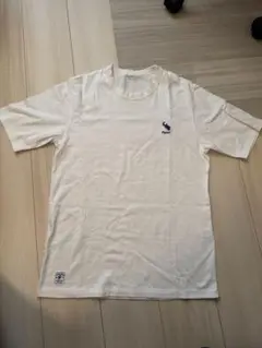Papas パパス　オオサンショウウオ　Tシャツ　Sサイズ