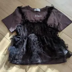 Item thumbnail for item d1a9eaf7-4c98-4bc1-b2fc-c66fbe9fea2a