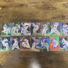 スターカード14枚セット