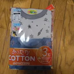 Item thumbnail for item d3b866e8-379b-4019-a969-4f4d0b9dc1d7