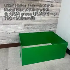 USM Haller ハラ－ D500 メタルボックス 色：グリーン（２）