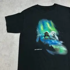 オーロラでくつろぐシロクマ　夜空　イラスト　半袖　Tシャツ　古着　ブラック　M