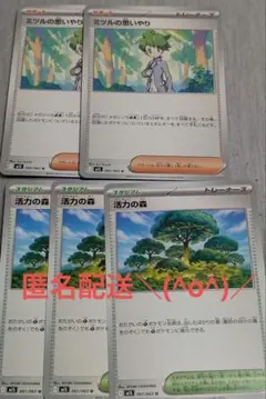 ポケモンカード ミツルの思いやり4枚＆メガニウム