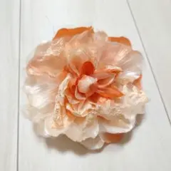 Item thumbnail for item bb5996c7-c671-45d3-83c6-66ec41709df6