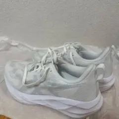 Item thumbnail for item e2e0aa5a-e88f-4c9a-aa95-53076f750dc9