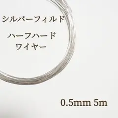 Item thumbnail for item 695041e3-7387-4c61-98ad-c502a2330a2d