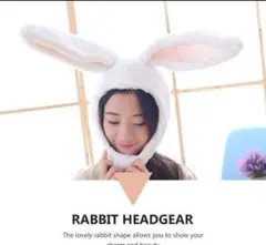 Item thumbnail for item c3422595-2e79-45fc-9a11-9de43752b5b0