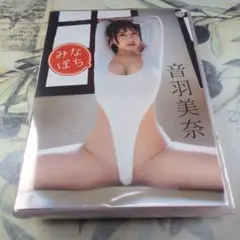【新品未開封】みなぽち4枚目DVD