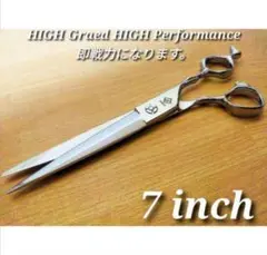 Item thumbnail for item 08f2164d-dc78-4c23-9c9a-6c5c83b08fa5