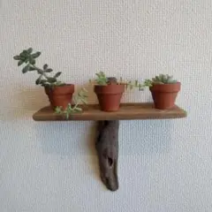 Item thumbnail for item 404f13a8-b685-4e48-9425-6370b44ea9eb