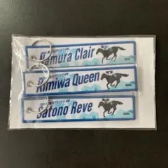 函館競馬　オリジナルフライトタグ　重賞コンプリートセット　ウマガチャ