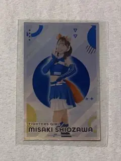 Item thumbnail for item 93463ea7-005f-428f-ad62-caee1c60c258