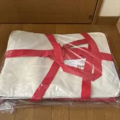 ロピア★保冷バッグ　角型　特大サイズ ！レジカゴバッグ