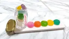 ㉚フェイクスイーツ ミニチュア クッキー ハンドメイド