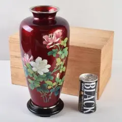 Item thumbnail for item 8e911c07-09d3-44f6-8746-2118d91ff902