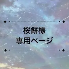 専用ページ