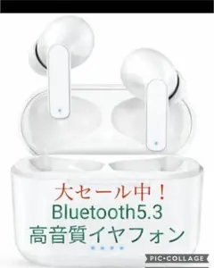 Item thumbnail for item 5f680273-b6ff-40a9-8b60-3ed438547c0d