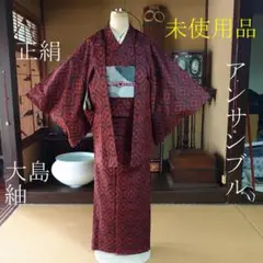 #351 正絹 大島紬 アンサンブル 未使用品【着物】#Letter bee