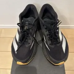 adidas adizero SL2 M 25センチ