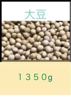 ラスト2 北海道 大豆 1350g 訳あり 自家農園
