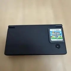 DS スーパーマリオブラザーズのカセット 2点セット