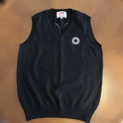 パーリーゲイツ　マスターバーニーベスト