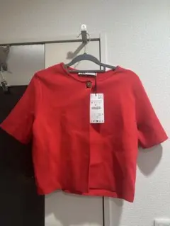 Item thumbnail for item 6c938b42-aebc-4710-a404-7c5a87731adc