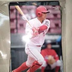 Item thumbnail for item 9b95800f-17e6-49c4-96cd-780cdff35384