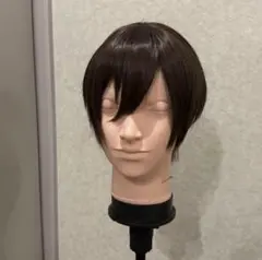桜蘭高校ホスト部　コスプレ　ウィッグ