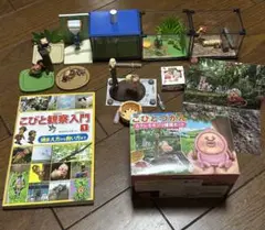 2025年最新】こびとづかん飼育セットの人気アイテム - メルカリ
