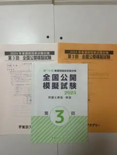 Item thumbnail for item 673d0a60-20db-47db-a604-0a2f7544d094