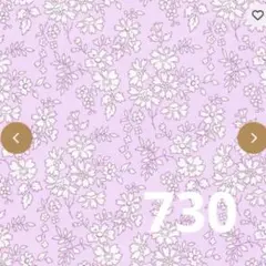 730 Liberty Tana Lawn Capel - Lilas